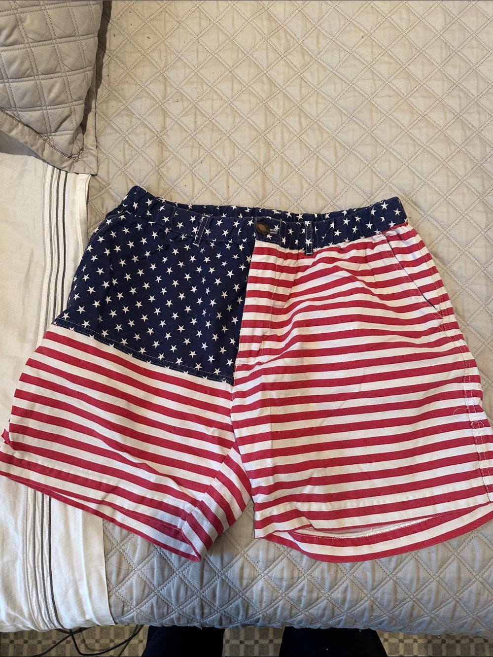 chubbies American flag shorts
